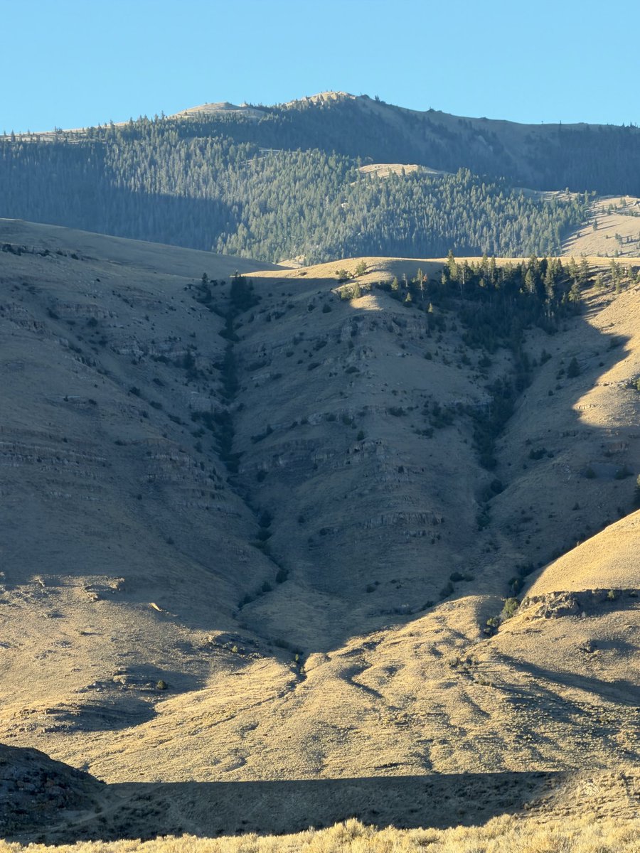 braxton_mccoy's tweet photo. Sitting here waiting for some elk to bed down in this patch of timber so I can hike up there and blow them out like the retard I am and then climb back down and bitch about it for another 335 days https://t.co/igkGkKLXbt