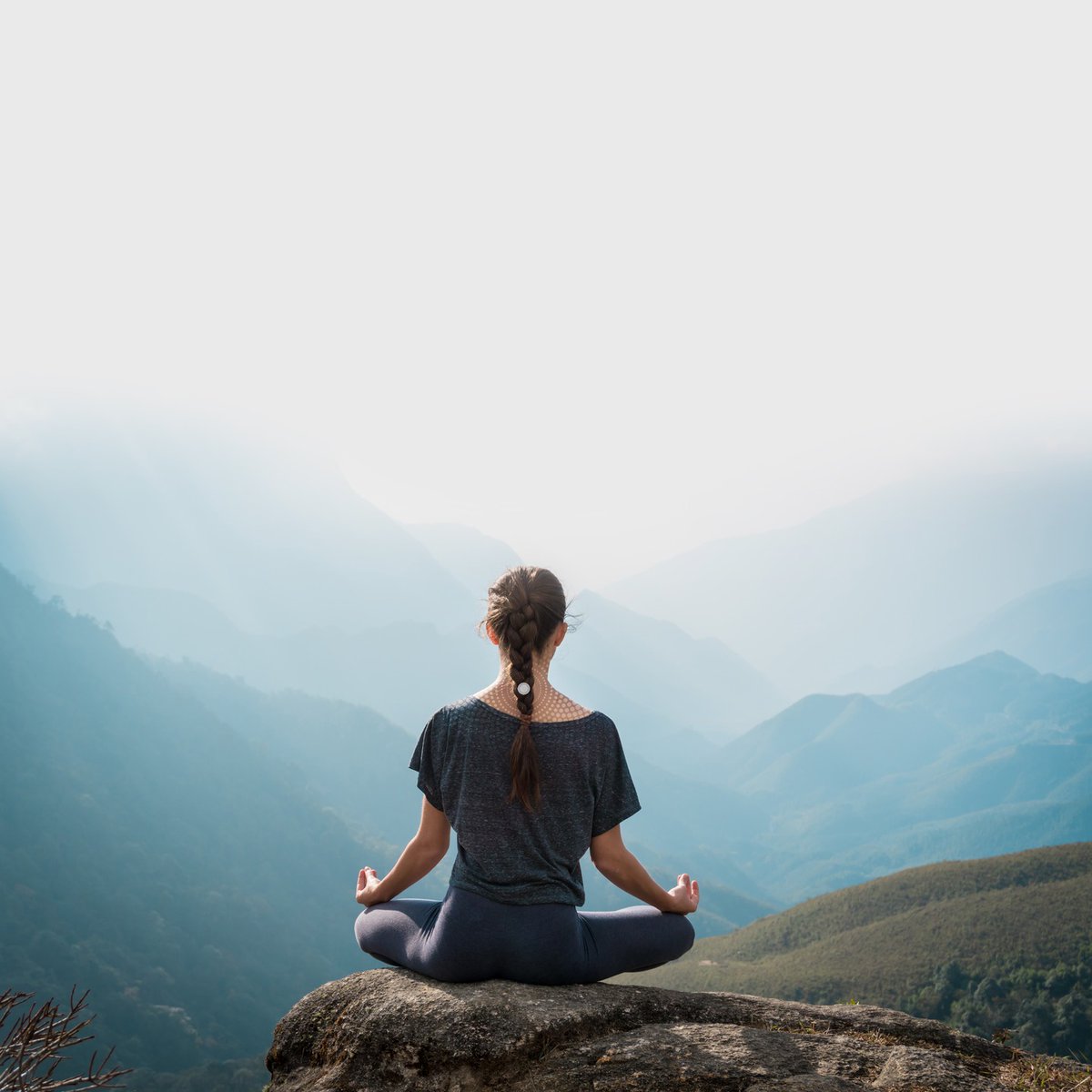 toledodeoli's tweet photo. Harnessing natural solutions grounded in science is like finding magic in the everyday. 🌟 Light, one of the simplest things, can boost our well-being in ways that are nothing short of incredible. Wellness doesn't have to be a labyrinth; sometimes, https://t.co/bg9AWrzdSH