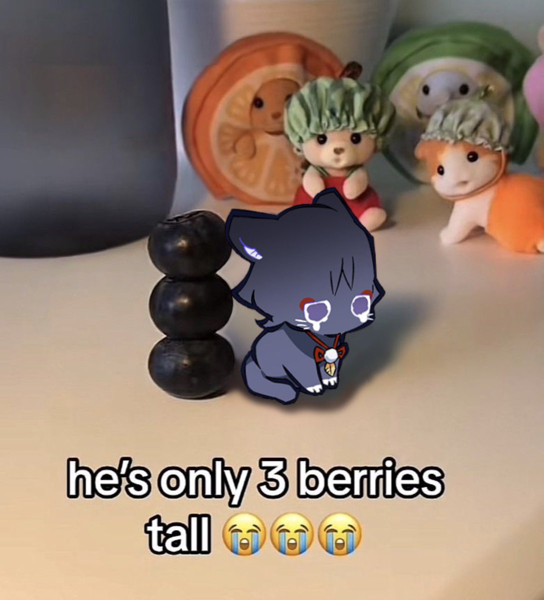DailyWanderers's tweet photo. Would you eat him? https://t.co/viF49Jt1qI