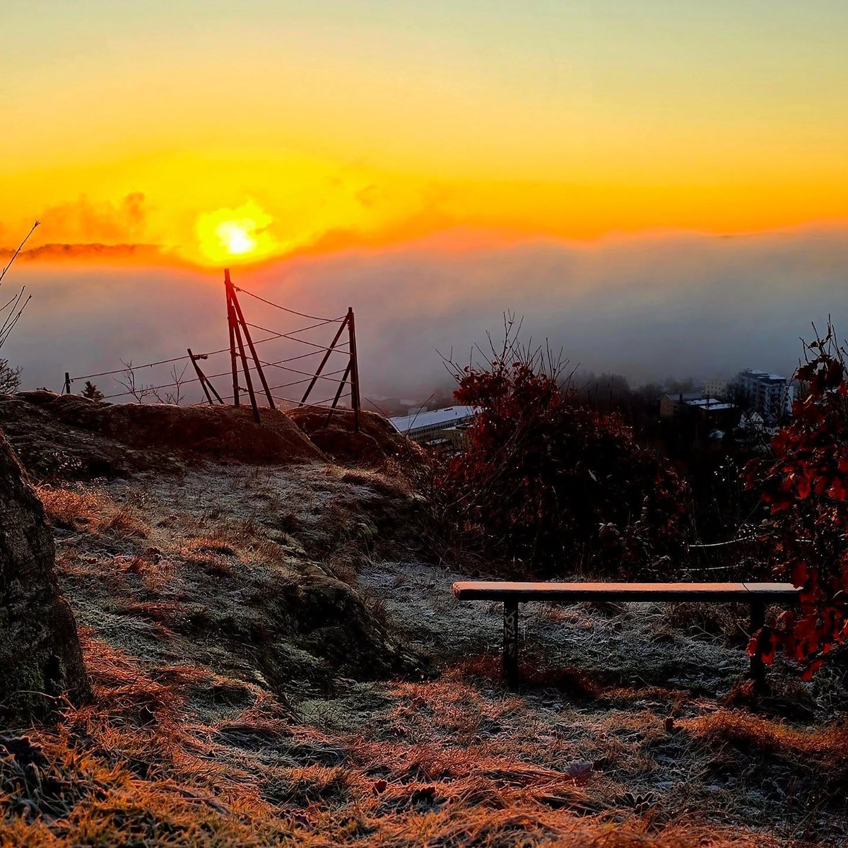 allancesa01's tweet photo. A breathtaking sunrise unfolding over a frost-covered hillside. The warm glow of the sun melts into the cold morning mist, creating a perfect moment of calm and beauty. Sometimes nature paints the most stunning scenes without asking for anything in https://t.co/DYf1krJH62