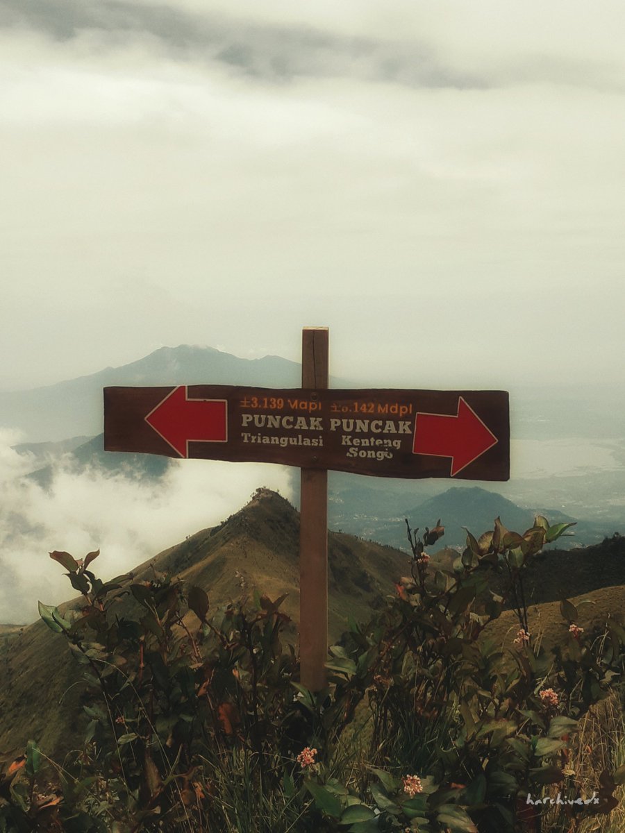 harchivedx's tweet photo. September tahun lalu, nekat tektok Gunung Merbabu. Sempat bikin kapok, tapi sekarang malah bikin kangen.

⛰

—

@samsungID 
#withGalaxy #A82018 #Snapseed https://t.co/5G6hqEwQix