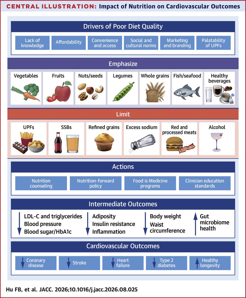 ACCinTouch's tweet photo. 🆕 ACC Scientific Statement in #JACC: 

A healthy dietary pattern matters more than any single nutrient or food for heart health. 🫀

🔗 Read more: https://t.co/fUZMN41Qyx

#cvPrev #ACCPrev @JACCJournals https://t.co/LDeDmmZ7is