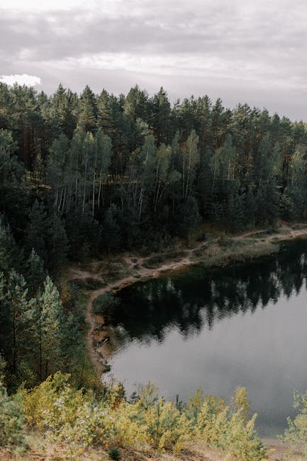 LayneeuTodd8kn's tweet photo. instantly, as warm oil muscle. gently releases every tight This is the forest ferlenda����🇳 https://t.co/MDgvUahO5D