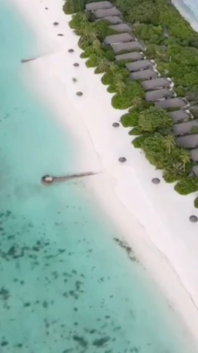 wilson032's tweet photo. Luxurious W Abu Dhabi and Atmosphere Kanifushi twin centre! 💎

W Abu Dhabi - Yas Island and Atmosphere Kanifushi Maldives

Abu Dhabi(4 Nights) and Maldives(9 Nights)
13 Nights - 2 Adults

From £4145pp

Based on 2 adults sharing a Spectacular King https://t.co/7d6lWqcwzk