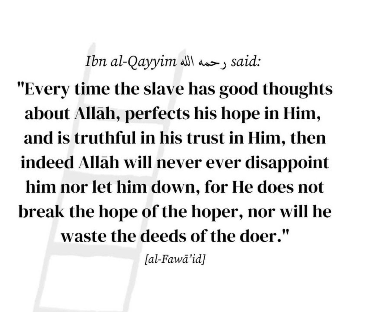 NotYourMiah's tweet photo. https://t.co/LgXNgyiGk1