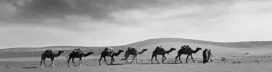 alrashiidi9's tweet photo. شدّو بدو قلبي .. عن ديار قلبك 
والبدو لا شدّو عن ديار يبطون 

واليا أنشدوك الناس وش كان ذنبك
قل البدو لا عافوا القاع .. يمشون

- ثامر شبيب https://t.co/wUPzz3h6J1