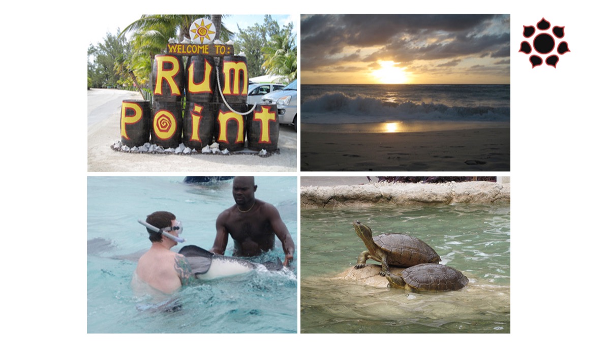 sergioevangeli3's tweet photo. 🌴🏝️☀️ Grand Cayman dreams
Above: 🌊 Turquoise waters, endless white sand on Seven Mile Beach
Below: 🐢 Swimming with turtles 🌊 Stingrays on the sandbar
Tea drinkers, bankers, and pure island vibes 🍵💼
Adventure, calm, and beauty all in one 🌊✨ https://t.co/bNQCw6Z3u9