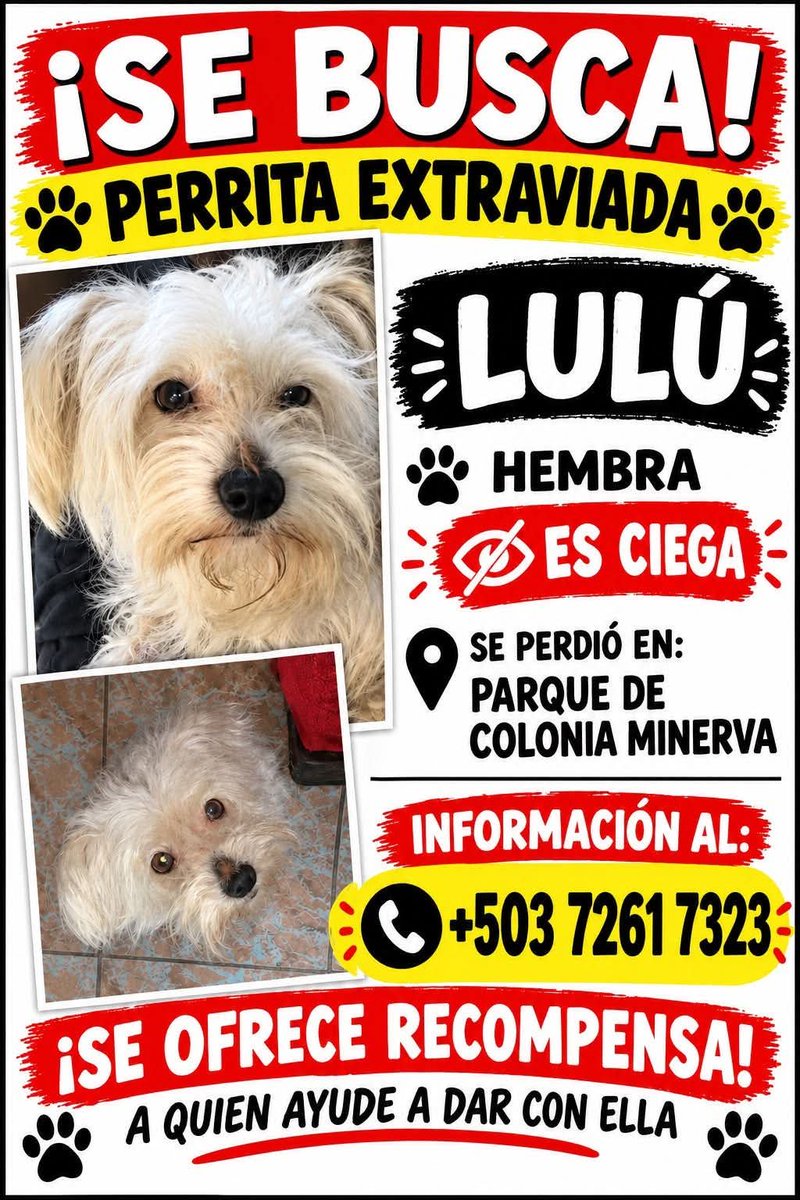 guatexanimales2's tweet photo. #repost https://t.co/JtLpzLN8wN