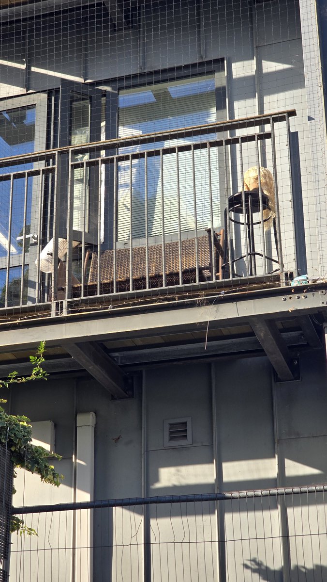 FranLovesEv's tweet photo. I just realized I never posted this ���� Rhaegar’s hair spotted in the wild (yes this is his actual wig drying in the sun on a balcony at the RSC) https://t.co/kFn1TpmVZc