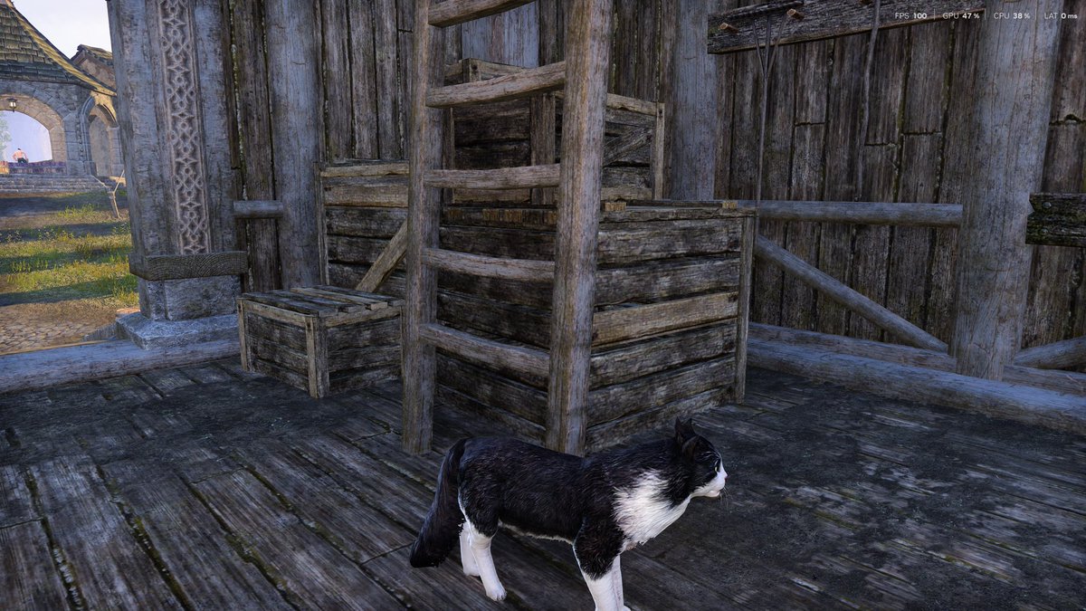 maggietina's tweet photo. My cat sees all ur stupid ways π¦πββ¬
check out my bio for more #ThePhotoMode #twitch #rpg #VPUnityHub #VPCommunity #VGPNetwork #ESOFam #ElderScrollsOnline #Trending #Warcraft #vtuber #palia #conanexiles https://t.co/S6OIGmhDOg
