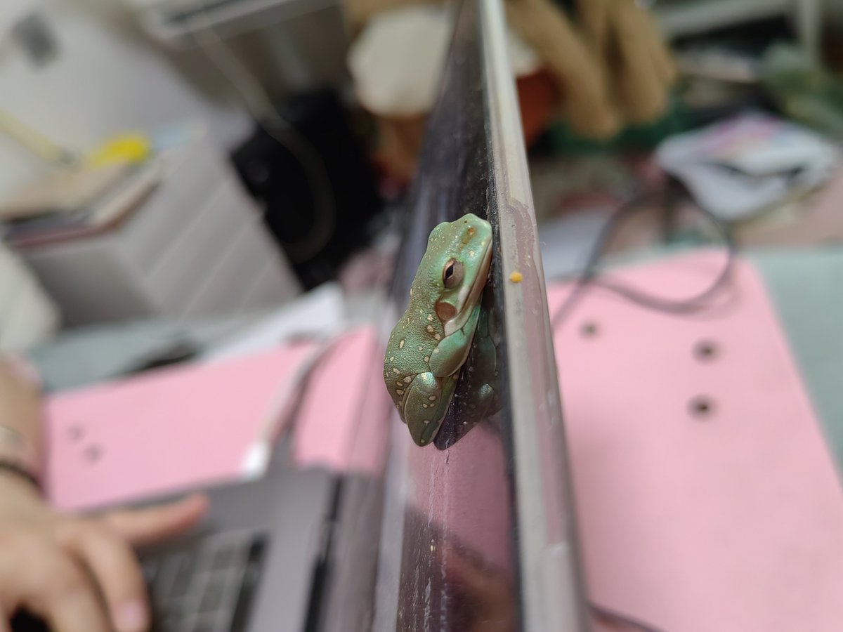 CrowEEG's tweet photo. 好萌 https://t.co/PXMCJlAbYs