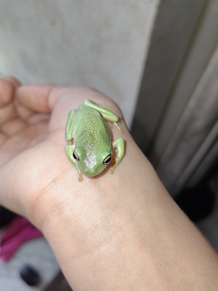 CrowEEG's tweet photo. 好萌 https://t.co/PXMCJlAbYs