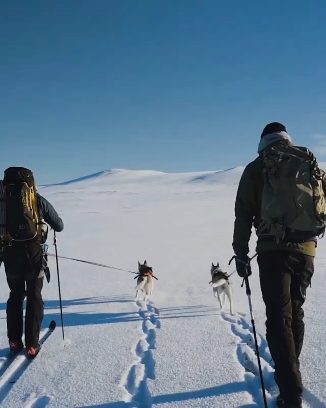 mattheiK26K's tweet photo. A fresh look at Today''s trip mindset filling the heart with warmth and wonder keeping it real. 🏆
https://t.co/5HHzrToYp9