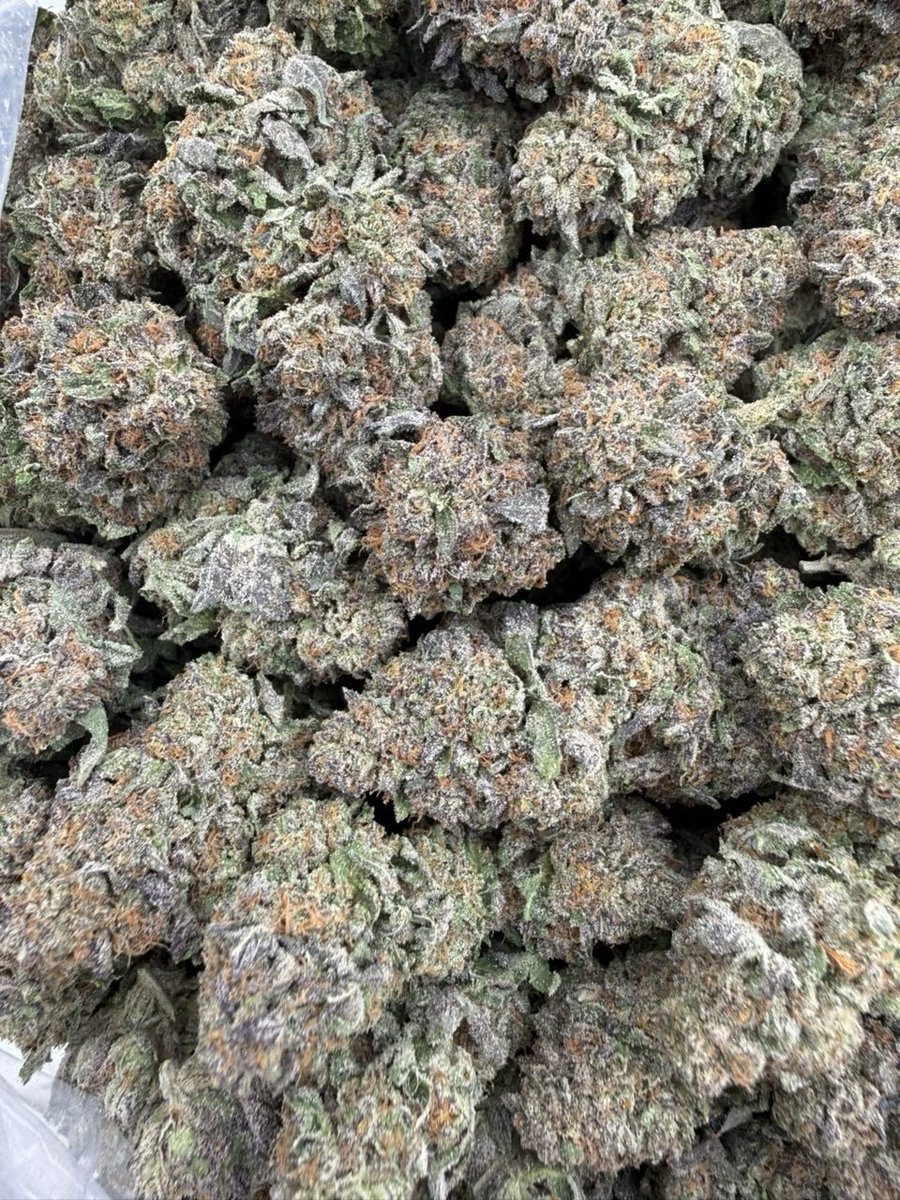 cannbis_farms's tweet photo. Purple Gumdrops

QP$200
Hp$400
1P$750 https://t.co/7BJaG340Lg