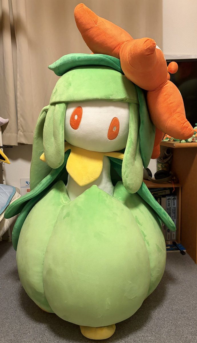 doredhia209's tweet photo. 待ちに待った中国限定の等身大ドレディア、ようやくお迎えしました🙌
めっちゃデカいけど、クオリティ高いし可愛いすぎる、、
なによりこれから毎日家で一緒に過ごせるのが嬉しすぎる🥺 https://t.co/3Ed70noMeQ