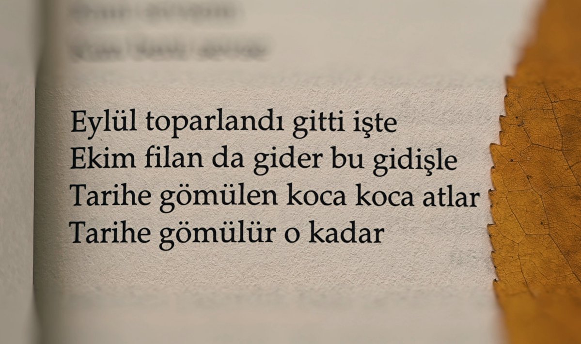 izerdogan's tweet photo. https://t.co/HHKS3AYATc