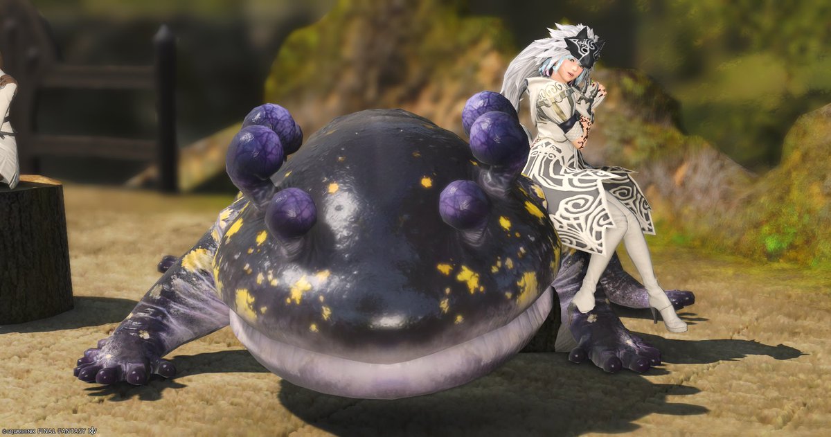 nagi_nanohana's tweet photo. 魔獣使い【闘獣練】 
若葉な私でも出来る安定編成と戦い方🥰

～改良版～です✨
https://t.co/W3xLreakze

よかったら読んでください♪
#FF14 #FFXIV #おはミド #本日のミドラン https://t.co/SxGbizy27Q