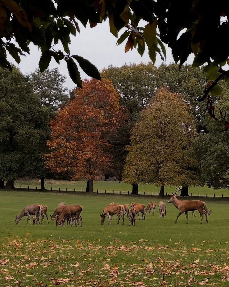 echoesofworld's tweet photo. Cotswolds, England https://t.co/nHVInWtW1i
