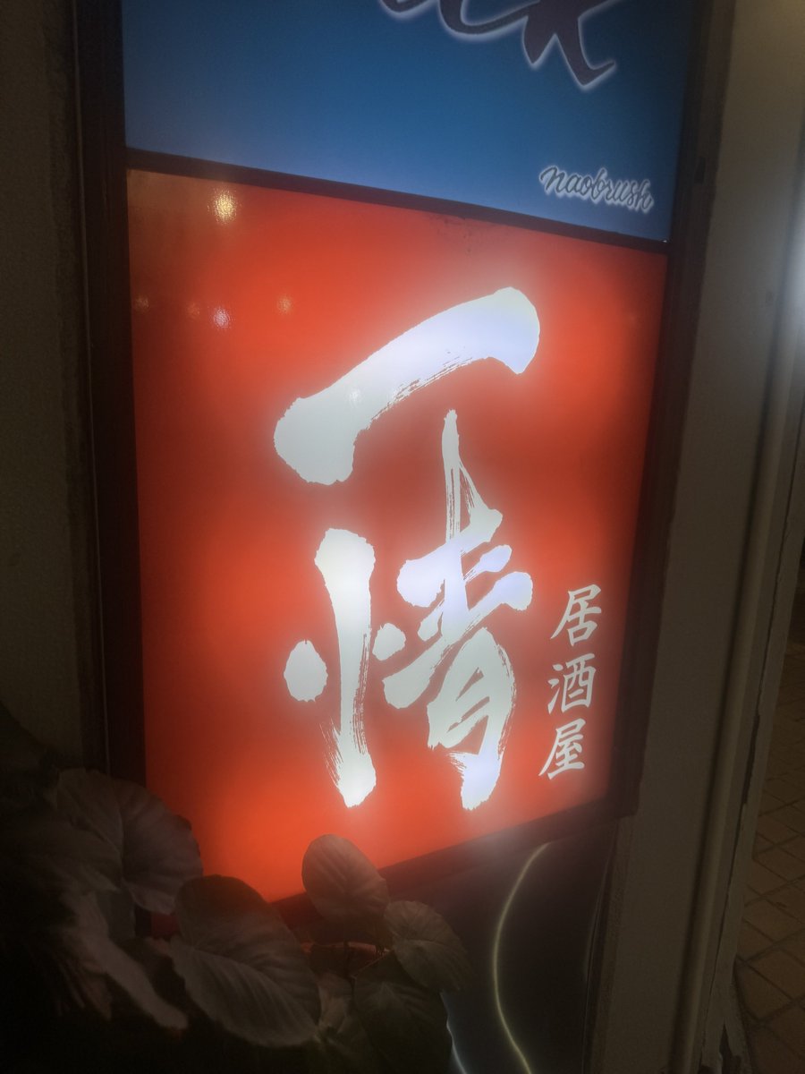 kodekochi's tweet photo. 高知の風俗店の社長なので言いますが
実話ナックルズさんがこの僕を取材に来てまして、高知の美味いものを！！とのことだったので、やっとやっと居酒屋『一情』さんに行ってました。

結論から言うと『めっちゃ美味かった。』高知の一般人でもトップレベルにカツオを食べる僕が言うのだから間違いありません。美味しいカツオは口に入れて無くなるまで最後まで味が濃いのです（わかりにくくてすみません）。なかなか無いと言うか無い。あとは塩タタキ、うなぎ、エビチリ、うなぎ、椎茸、などなど、最後の締めの「カツオ飯」初めての感覚のお茶漬けみたいな飯（わかりにくくくてすみません）。やはり、お若いだけあって、新感覚の見せ方？味？の料理でした。ほんと美味しい。喫煙です！是非に。
