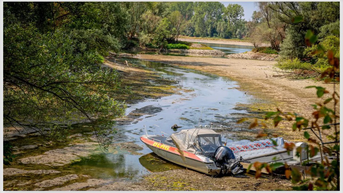 Reporter_DE1's tweet photo. Historisches Wasserdefizit in Baden-Württemberg: 91 Prozent der Pegel zeigen extremes Niedrigwasser, der Bodensee unterschreitet den Rekordwert von 2003. Der erwartete Regen bringt laut NIZ kaum Entspannung. https://t.co/dk6tT4qhP6