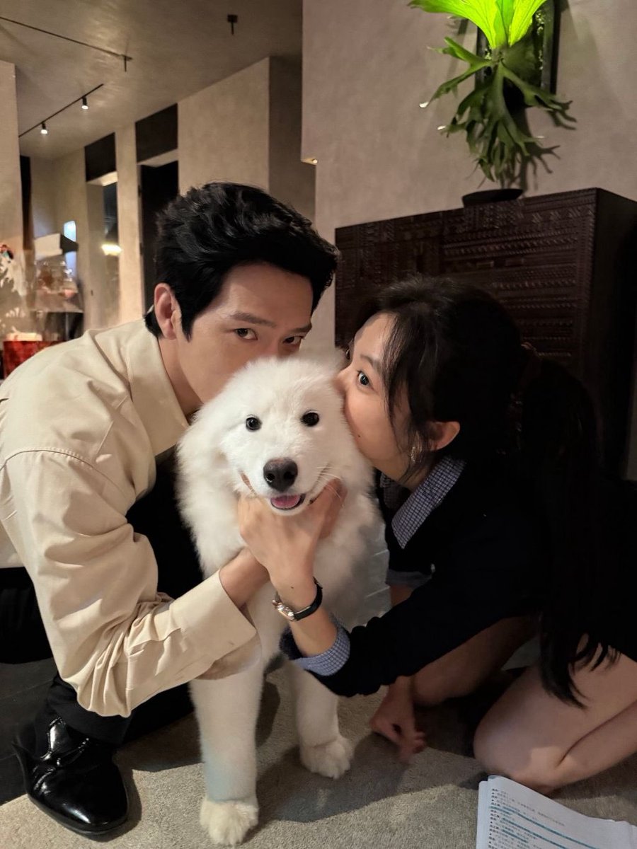 cdluv8's tweet photo. 조춘청랑 7일만에 다봤고 느낀점은 (21-24) 후반부에 감정 폭발하는 씬들 많아서 더 몰입됨..... ㅜㅜ 특히 둘다 우는 연기를 너무 잘해서 나도 울어버림...  롼녠 루크 상즈타오 앞으로는 싸우지말고 행복하게 살어~~~!!!! https://t.co/IUNP7kRbm7