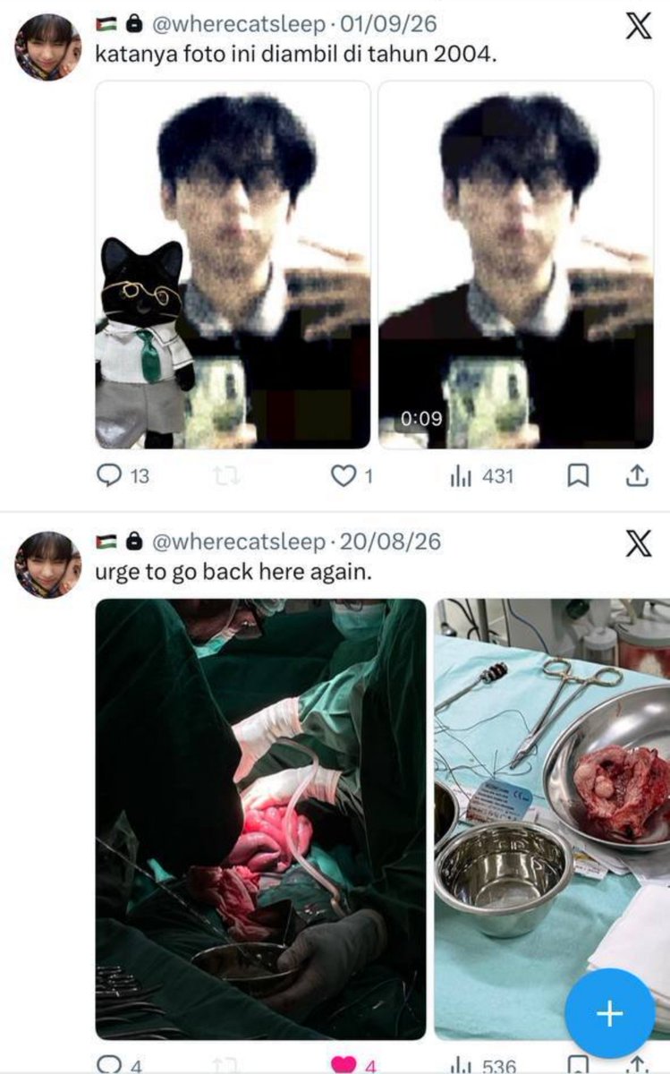v3ztalone's tweet photo. TW // SOKE ⚠️

Bosen ada Soke @FlRSTSERENADE, Kael @Kronhart, Victor @Morbrial, Knox @RockandRoar, Altair @ParadoxIntruder, Grey @SinVanisher, Tjinta @PoemistHeart mulu. Belum apa-apa kok udah kabur duluan sih dok? Mana klarif sama minta maafnya? @reborn2revolt @wherecatsleep https://t.co/kKyGvRAv6S