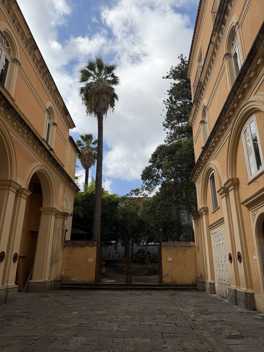 esseemmesse's tweet photo. Milano è bella ma Lamezia Terme… https://t.co/8B0u2zDuZZ