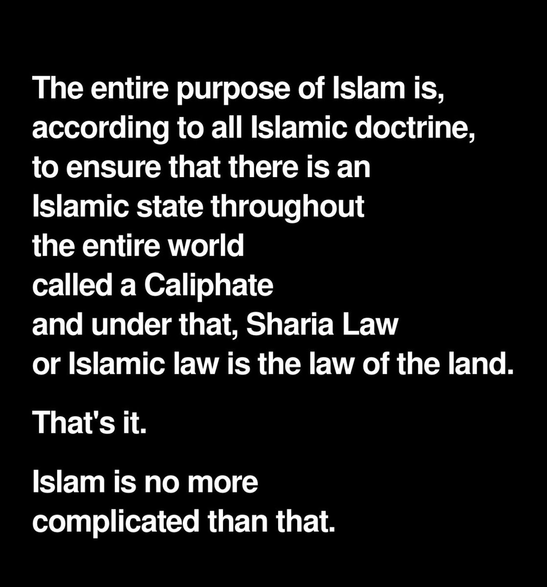 siggyflicker's tweet photo. FOR ALL USEFUL IDIOTS. 
SOME PAID.  SOME NOT. 
READ THIS OVER AND OVER AGAIN! https://t.co/d7sMX6gN2o