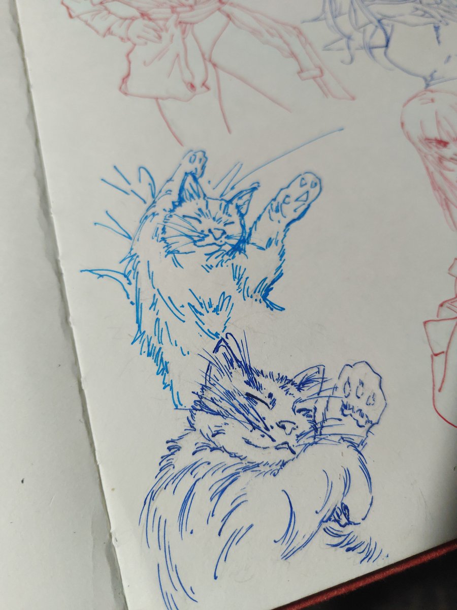 AlbinIllust's tweet photo. Drawing cats and people

#doodle #rkgk #art https://t.co/Pivfz0tUla