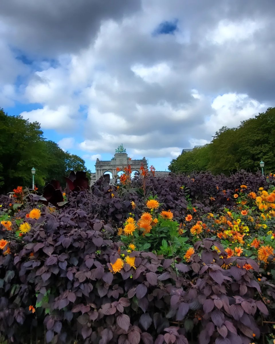 PretobCarlos's tweet photo. October in Brussels

#wanderlust #adventureseeker #doyoutravel #travelmore #goexplore #wonderfulplaces #openmyworld #lovetotravel #adventurethatislife #roamtheplanet #Travelbook #Traveller #Travel_Captures #Instatravel #SeeTheWorld #TravelTheWorld https://t.co/rtvcF4Q41K