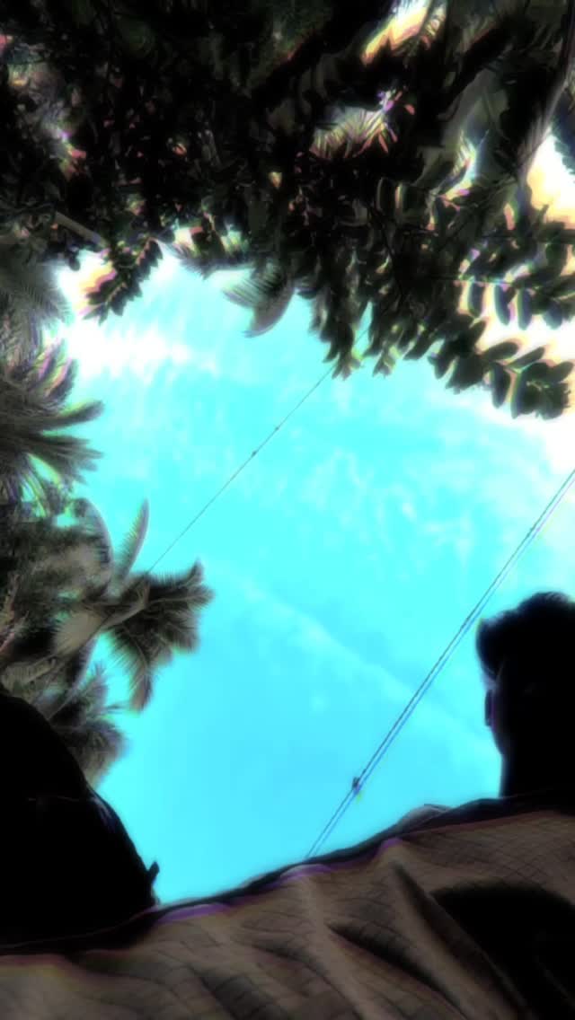 marckwesley's tweet photo. Lost in the beauty of a bright blue sky and lush greenery today! 🌴☁️ Feeling grateful for these peaceful moments. #naturevibes #newreel #youtubechannel #10kfollowers #1mviews https://t.co/mok6NMpTEb