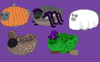 VirtualSealPet's tweet photo. Something is coming...
#sealtwt #virtualsealpet https://t.co/iYpMUh2ZdI