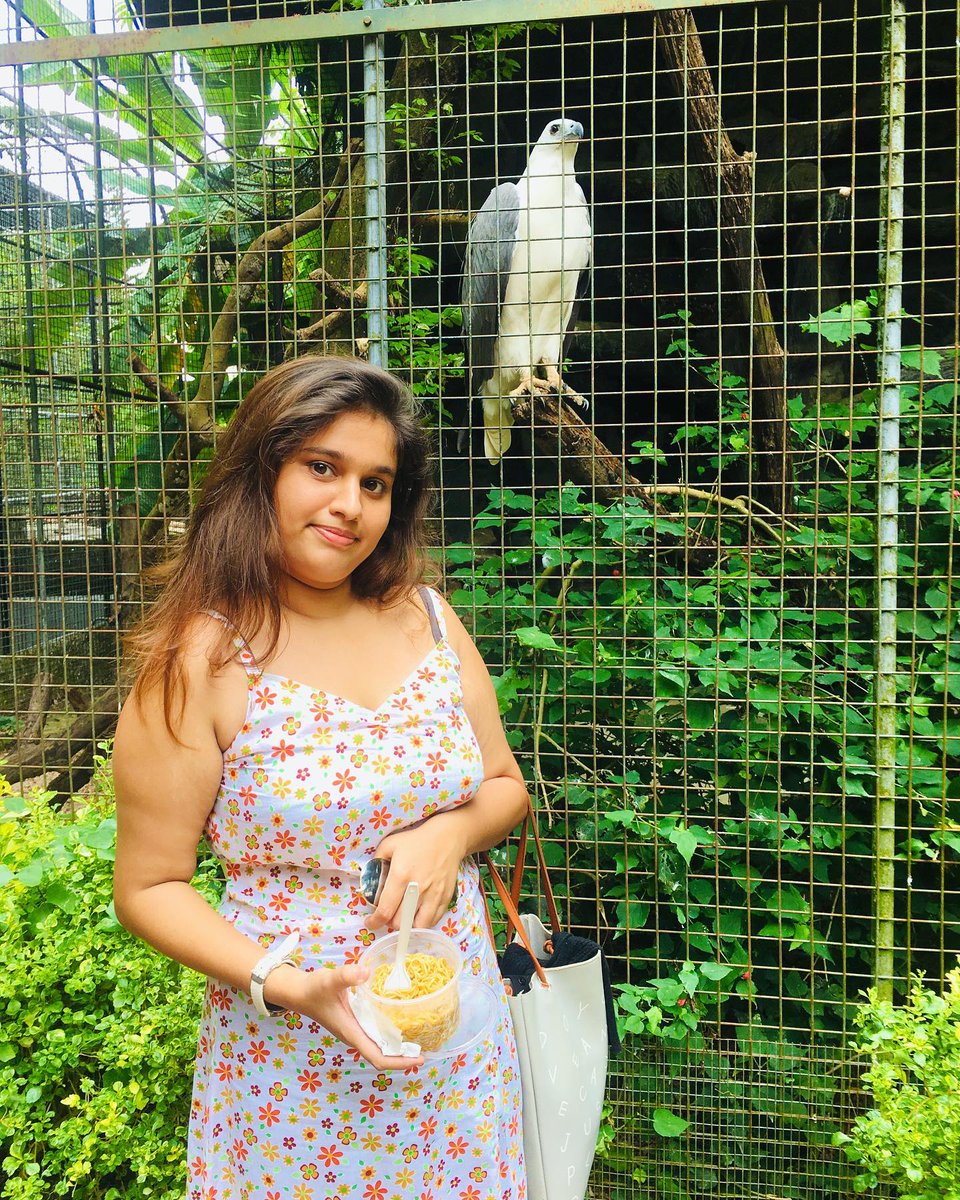 thomazjj's tweet photo. Back to childhood 🐬🦒
#traveldiaries 🦋 https://t.co/RHWbtKk5Jb
