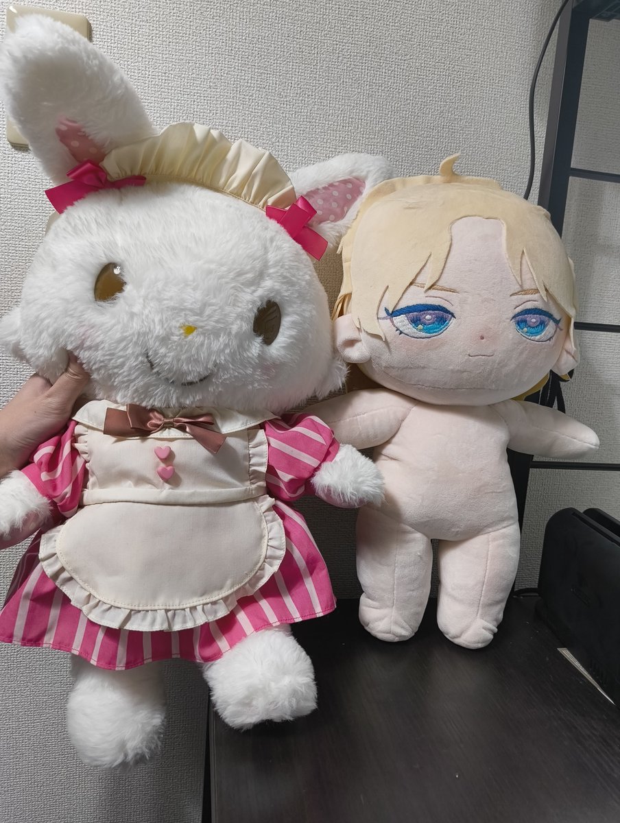 kujina_h's tweet photo. ｱ゛ッッ  メルメルドールとの互換性    あ     る    ！ https://t.co/Vw6rY28XfC
