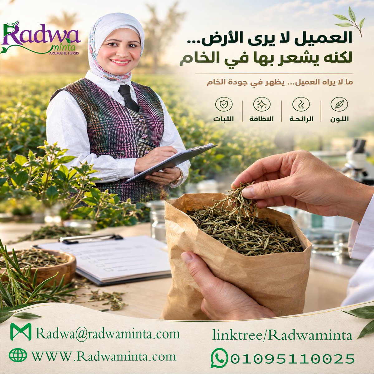 ElradwaMinta's tweet photo. هل العميل مدرك أي أرض خرج منها النبات.؟ 🌿
في الحقيقة هو لا يرى المتابعة اليومية،
ولا قرار الحصاد،
ولا لحظة الفرز، https://t.co/vENKJu9ENI