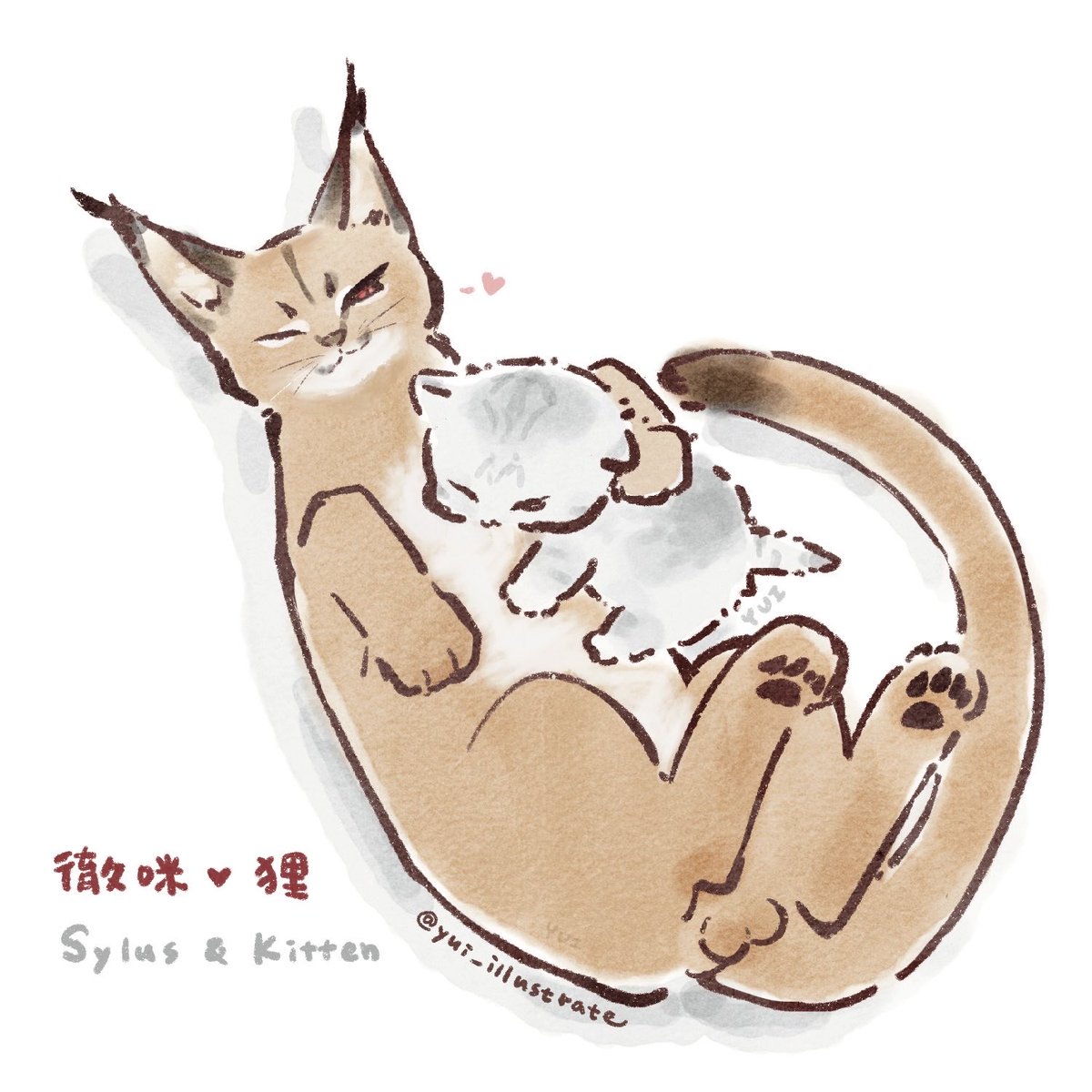 xxx_yu1_xxx's tweet photo. 徹咪&amp;小狸♡︎
#sylus #秦彻 https://t.co/es6YnpI5hu