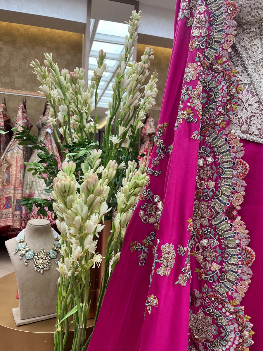 Aza_Fashions's tweet photo. #AzaSantacruz: A vibrant take on occasion dressing
— a fuchsia drape paired with a sculpted, intricately embroidered corset, finished with an ornate border that brings the look together✨

Download Aza App Now 📱Link in bio 🔗

#bridalfashion #indianbrides #saree #bridaltrend https://t.co/H1xCljSHiB