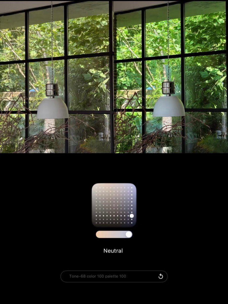 noorielova's tweet photo. Solving the "grey and dull" plant photo problem on iPhone. https://t.co/tBXwZItSHJ