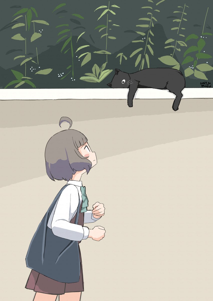 zarabanshi's tweet photo. 鎮守府周辺ではよく猫を見かけます。おそらく艦娘のことを魚獲ってくる係だと思っています。 https://t.co/wGFqZ4Fht8