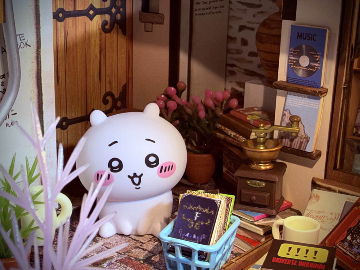 Lpsd66's tweet photo. 本屋に来た📕

#ちいかわ https://t.co/w3mKDOCOTa