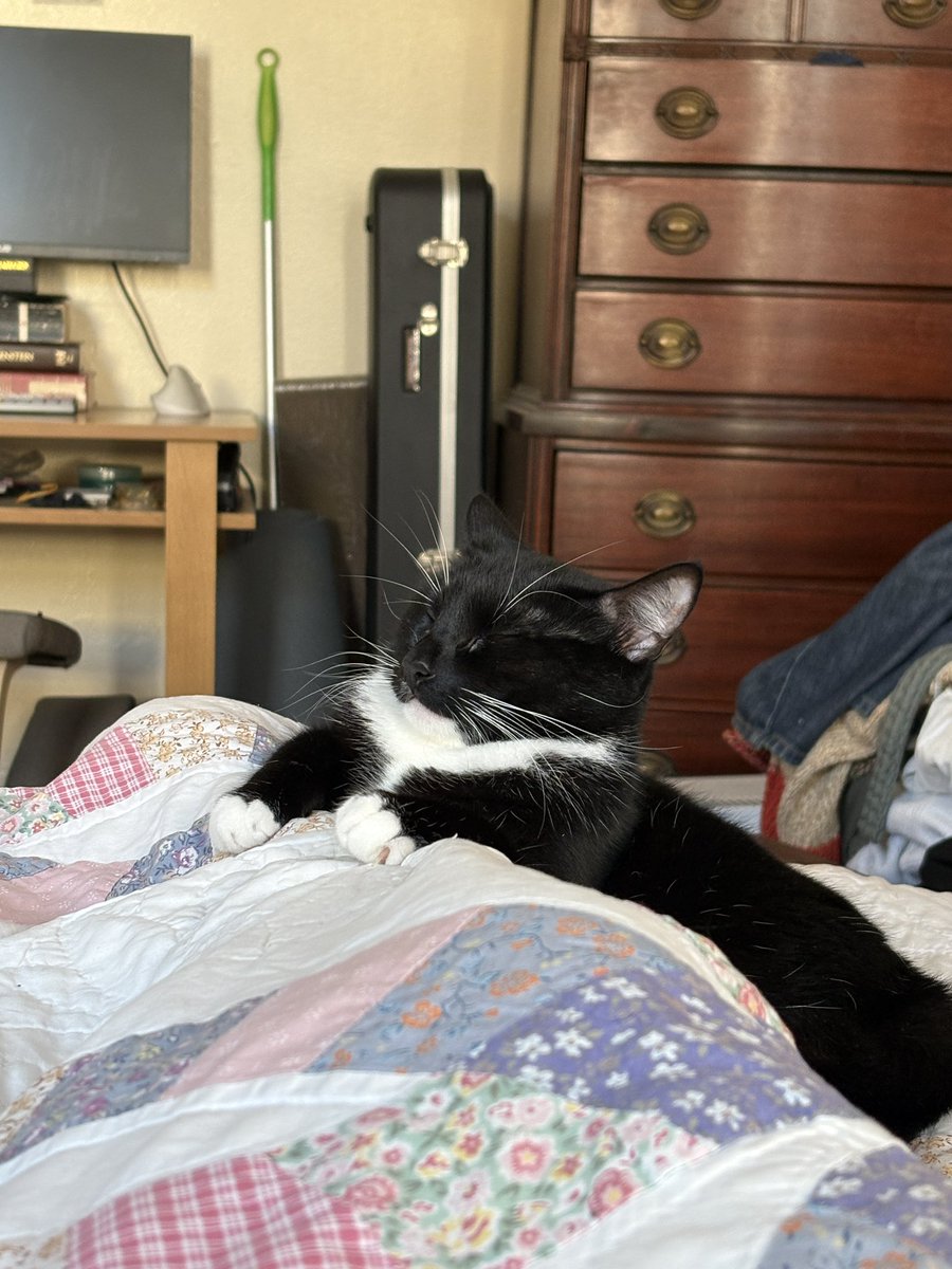 elenasb_'s tweet photo. Jane fell asleep on my leg like this? https://t.co/Y1hFRj31XX