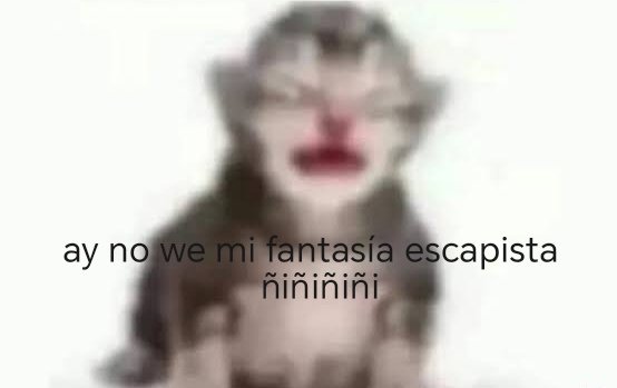 WeboRei38252's tweet photo. Fans de MT cuando les digo que las esposas de Rudeus también deberían tener otros esposos: https://t.co/wg1BD79Lzq