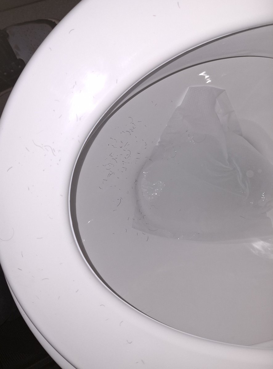 viceroy_ot's tweet photo. ayer fui al baño de la facultad y me encontre esto https://t.co/GefHWx0Y0D