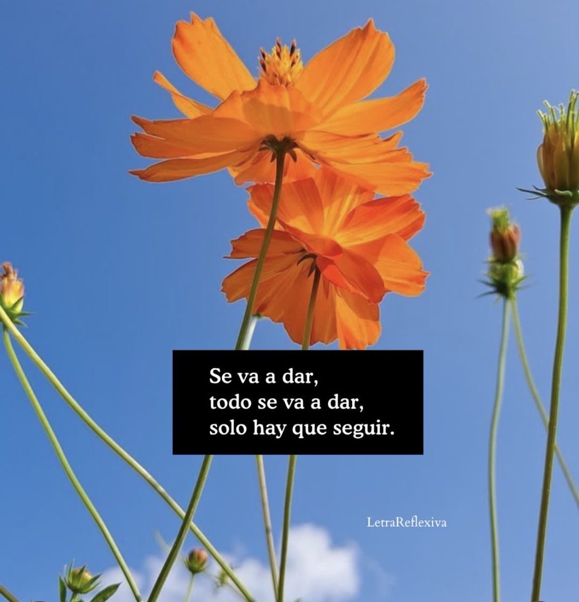 Charofernandezr's tweet photo. ¡Buenos días! https://t.co/JTuxzjxU4T