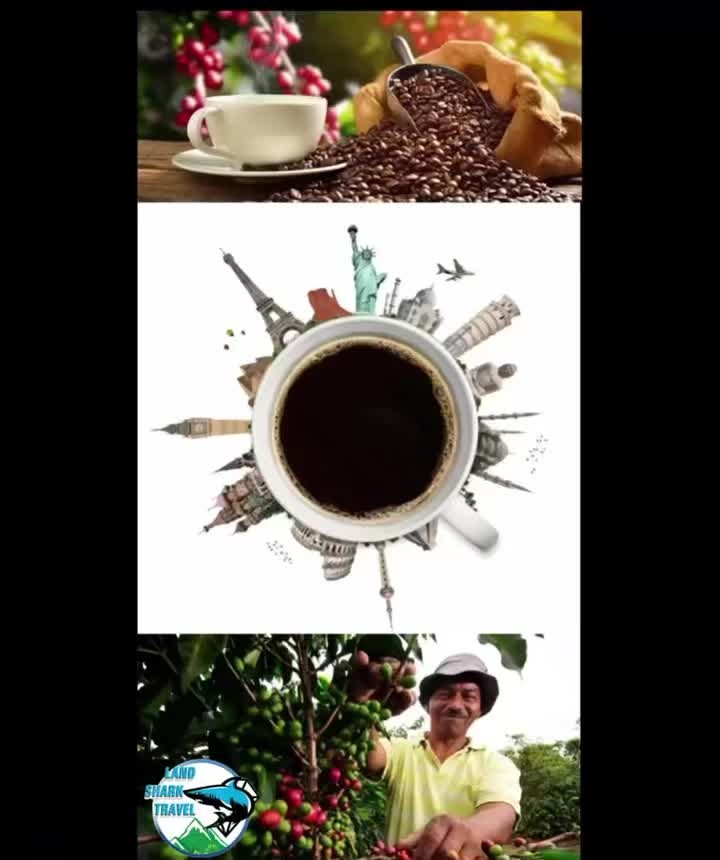 NatyMortol's tweet photo. En el *Día Internacional del café ☕️ ☕️ *Land Shark Travel* queremos rendir homenaje a los campesinos que, con dedicación y esfuerzo, siembran, cuidan y cosechan los granos que hacen posible que disfrutemos de cada taza. Detrás de ese sabor único https://t.co/526gFT8vp1