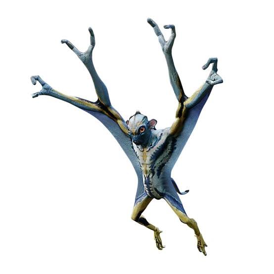 eleotheosis's tweet photo. @pauloelifaz @criticbarbarian @chazmuco found the fauna https://t.co/qP8jybwauS