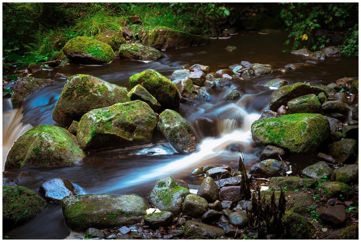 leo1855's tweet photo. Another entry for Team Landscape from the @Stomp_sy photowalk to Grindleford. Right near the start of the walk into Padley Gorge, I spotted this section of the stream weaving its way between the moss-covered rocks and immediately knew I wanted to https://t.co/t2mMkz4XyA