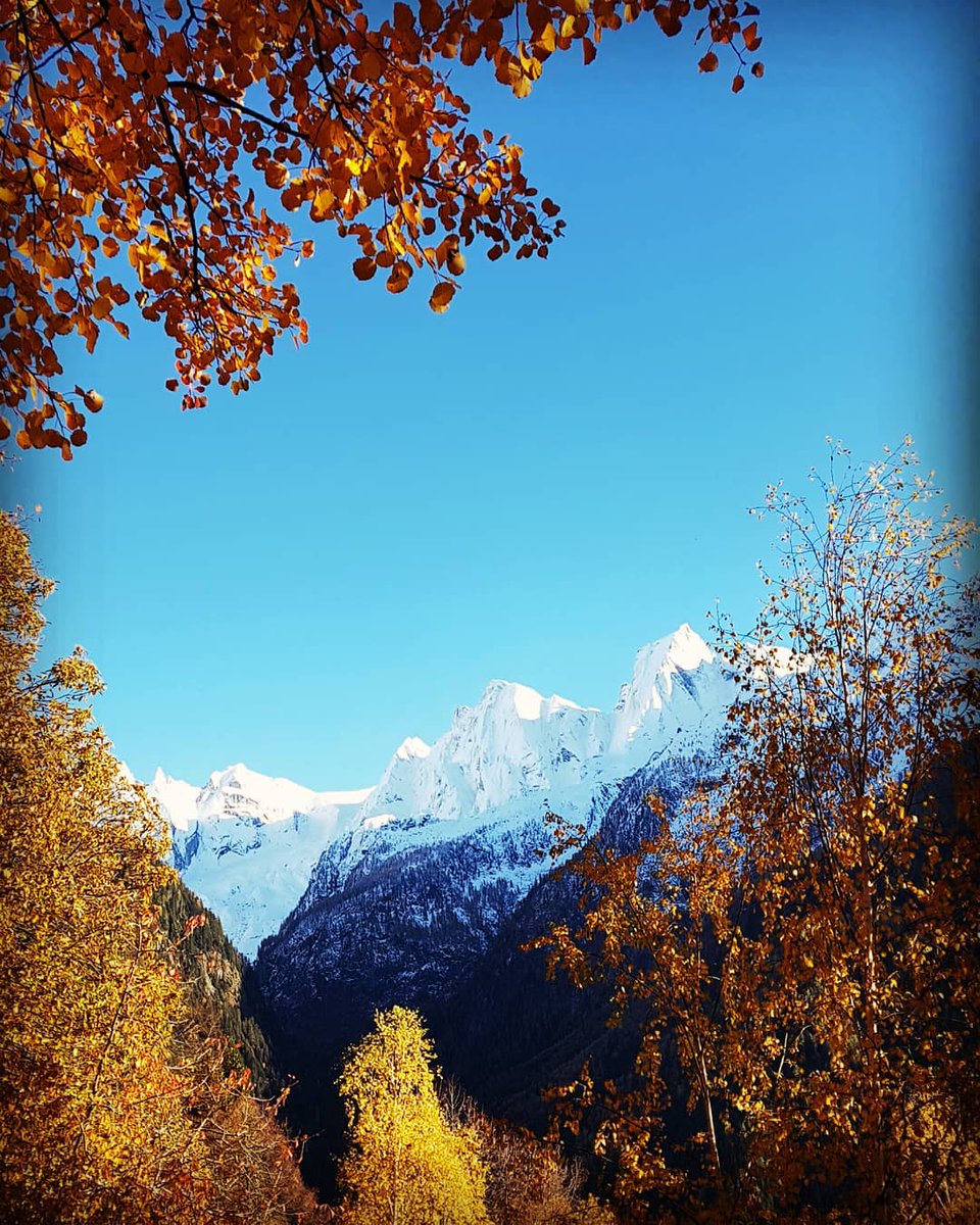 Danieldakk's tweet photo. Herbstlicher Blick zu Pizzo Cengalo und Pizzo Badile

#bergell #graubünden
#herrlicheberge #herbst
#bergliebe #whataview
#bergwandern #bergpic
#beautifulmountains
#bergfieber #bergweg #schweizerwanderwege
#myswitzerland #schweizeralpen #schweiz https://t.co/QW3lTDW4lF