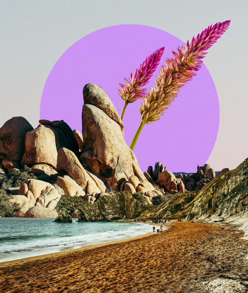 POSTWOOK's tweet photo. cool rocks https://t.co/UFV09dxa6s