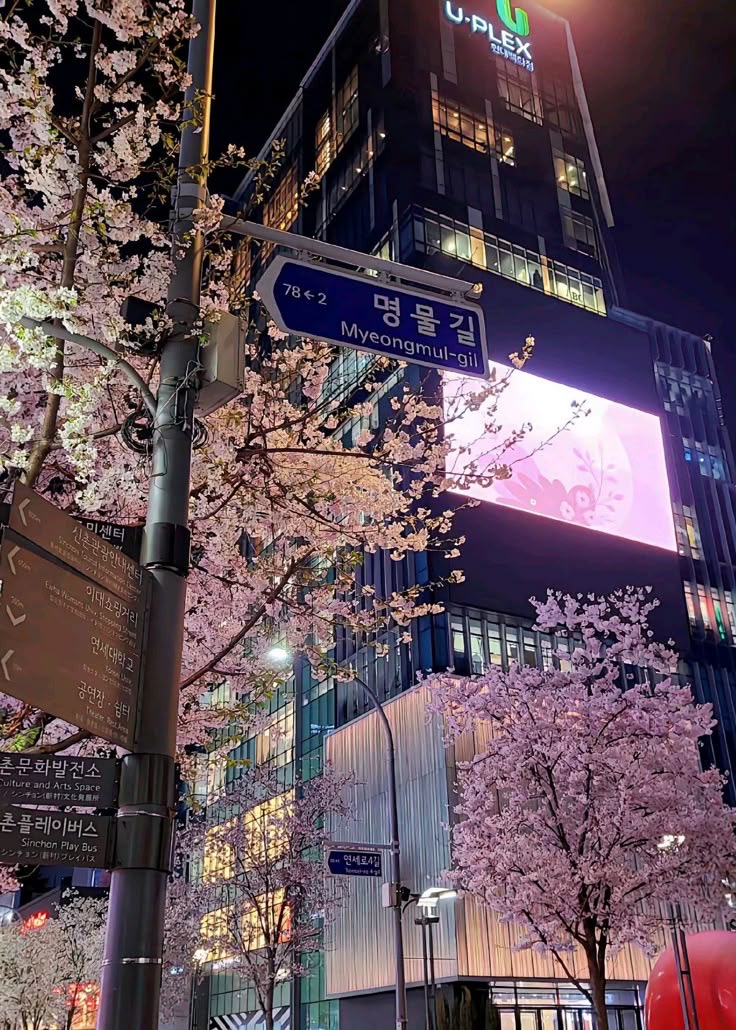 0725pgw's tweet photo. how does pinterest see you? (˶˃𐃷˂˶)

♡:: idol
♡:: color
♡:: city
♡:: kpop concept https://t.co/xPvtDQgWyu